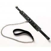 Черный ошейник с шипами и поводком - Crazy Handmade - купить с доставкой в Балаково