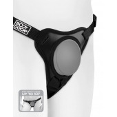 Трусы с платформой для насадки Body Dock Elite Mini - Pipedream - купить с доставкой в Балаково