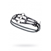 Черный кожаный пояс с кольцами - Pecado - купить с доставкой в Балаково