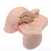 Мастурбатор-полуторс Naked Factory Kate - Naked Factory - в Балаково купить с доставкой