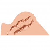 Мастурбатор-полуторс Naked Factory Hannah - Naked Factory - в Балаково купить с доставкой