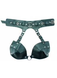Изумрудная сбруя из ошейника с лифом Ladys Arsenal - БДСМ Арсенал - купить с доставкой в Балаково
