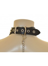 Ошейник  Веселый Роджер - Sitabella - купить с доставкой в Балаково