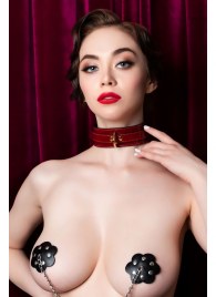 Красный ошейник из лакированного материала - ToyFa - купить с доставкой в Балаково