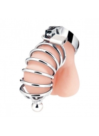 Серебристая клетка для члена Urethral Play Cage - BlueLine - купить с доставкой в Балаково