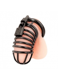 Черная металлическая клетка с замком Deluxe Chastity Cage - BlueLine - купить с доставкой в Балаково