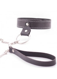 Узкий однослойный ошейник с поводком - Crazy Handmade - купить с доставкой в Балаково