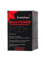 Капсулы для мужчин Erotichard male power с пантогематогеном - 20 капсул (0,370 гр.) - Erotic Hard - купить с доставкой в Балаково