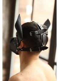 Эффектная маска собаки с металлическими заклепками - БДСМ Арсенал - купить с доставкой в Балаково