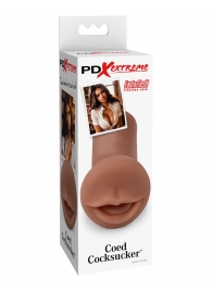 Мастурбатор-ротик Coed Cocksucker - Pipedream - в Балаково купить с доставкой