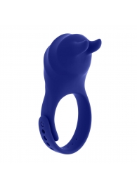 Синее эрекционное виброкольцо с клиторальной подушечкой и пультом ДУ Adjustable Fun Ring - Zero Tolerance - в Балаково купить с доставкой