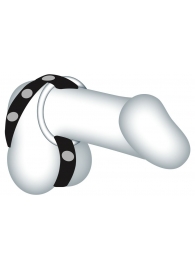 Подхват для мошонки с 3 съемными эрекционными кольцами Leder-Riemen - Orion - в Балаково купить с доставкой