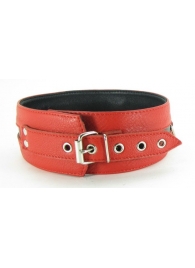 Черно-красный кожаный ошейник увеличенного размера - БДСМ Арсенал - купить с доставкой в Балаково