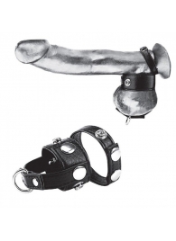 Утяжка для мошонки и пениса Cock Ring With 1  Ball Stretcher And Optional Weight Ring - BlueLine - купить с доставкой в Балаково