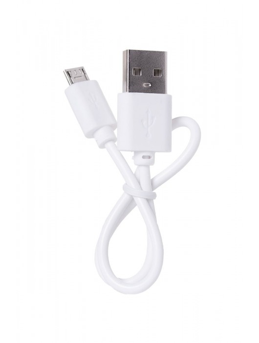 Портативное зарядное устройство A-toys 2400 mAh microUSB - A-toys - купить с доставкой в Балаково