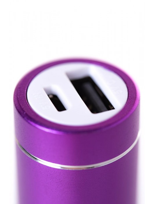 Портативное зарядное устройство A-toys 2400 mAh microUSB - A-toys - купить с доставкой в Балаково