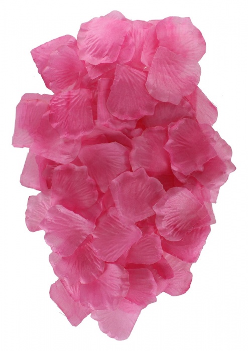 Эротический набор FANTASTIC PURPLE SEX TOY KIT - Toy Joy - купить с доставкой в Балаково