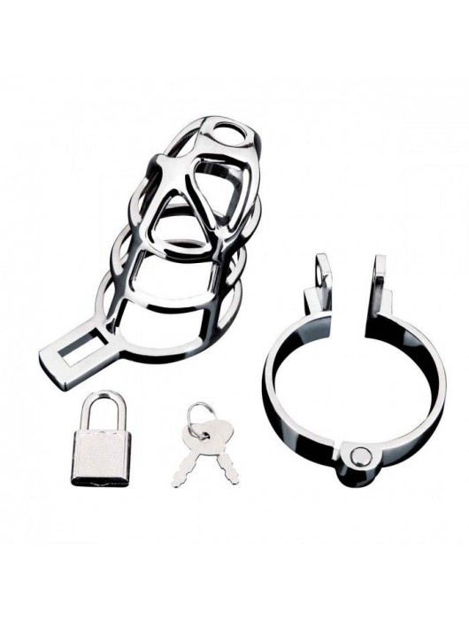 Серебристая металлическая клетка для члена с замком Enslave Cock Cage - BlueLine - купить с доставкой в Балаково