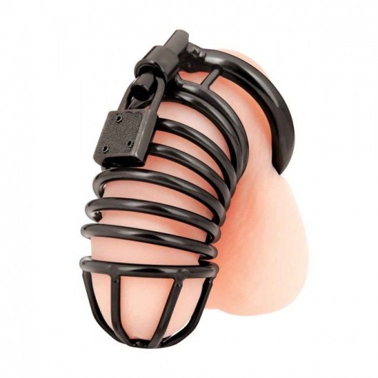 Черная металлическая клетка с замком Deluxe Chastity Cage - BlueLine - купить с доставкой в Балаково