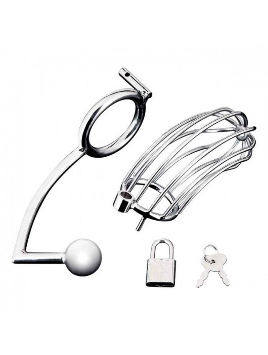 Серебристая металлическая клетка с анальным стимулятором Cock Cage - BlueLine - купить с доставкой в Балаково