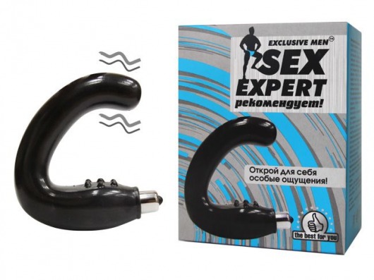 Чёрный массажёр простаты серии Sex Expert - Sex Expert - в Балаково купить с доставкой