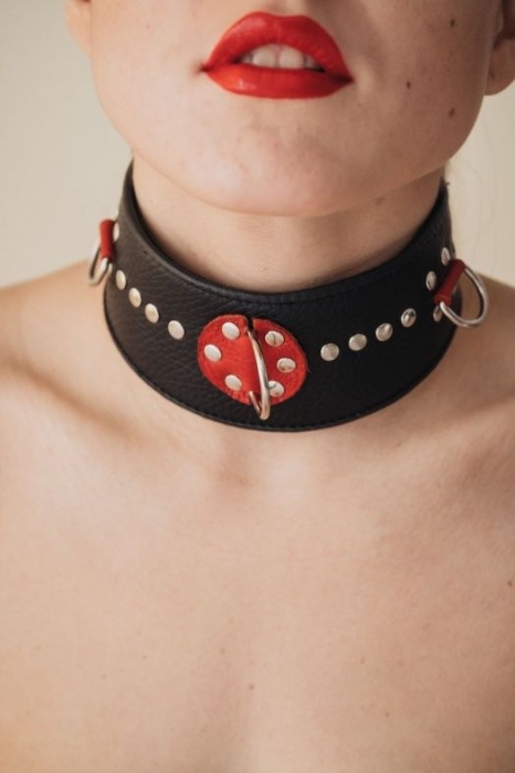 Кожаный ошейник с металлическими клепками - БДСМ Арсенал - купить с доставкой в Балаково