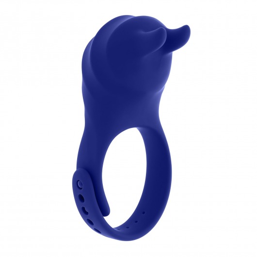 Синее эрекционное виброкольцо с клиторальной подушечкой и пультом ДУ Adjustable Fun Ring - Zero Tolerance - в Балаково купить с доставкой