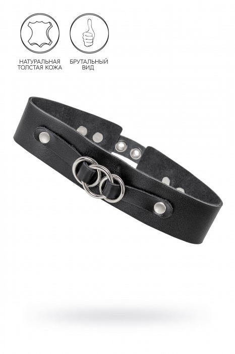 Черный чокер-ошейник со связанными кольцами на подложке - Pecado - купить с доставкой в Балаково