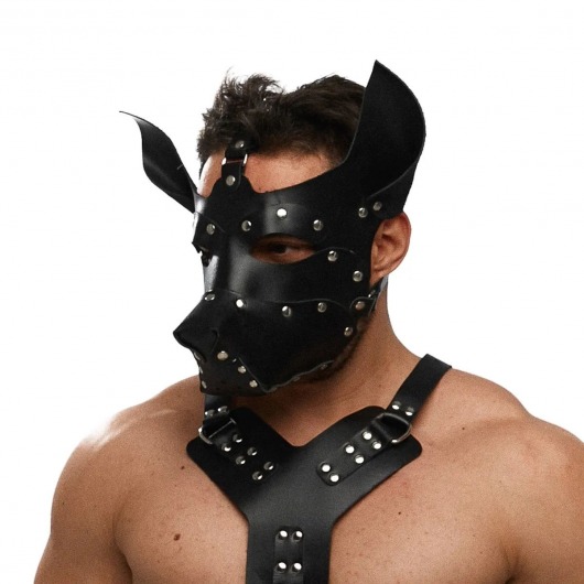 Черная кожаная маска «Собака» - Crazy Handmade - купить с доставкой в Балаково