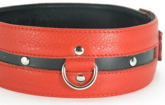 Черно-красный кожаный ошейник увеличенного размера - БДСМ Арсенал - купить с доставкой в Балаково