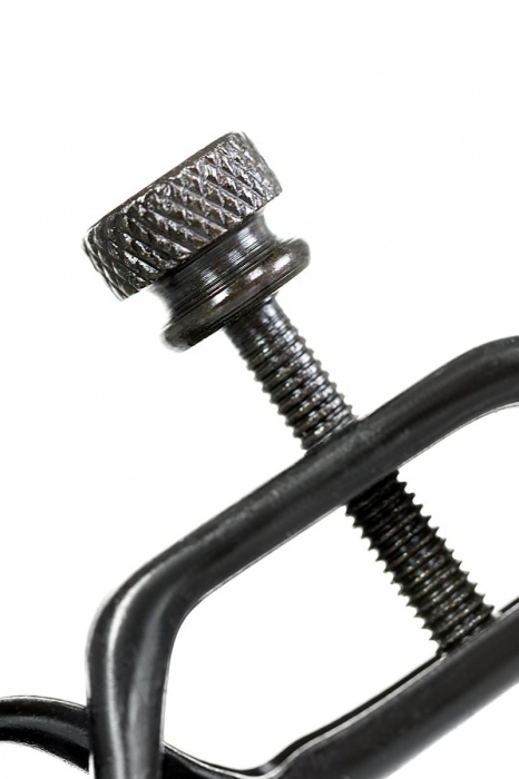 Черно-золотистые зажимы для сосков TOYFA Theatre - ToyFa - купить с доставкой в Балаково